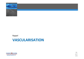 Occlusions vasculaires retiniennes