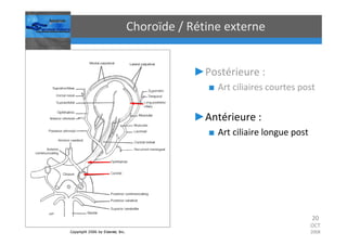 Occlusions vasculaires retiniennes