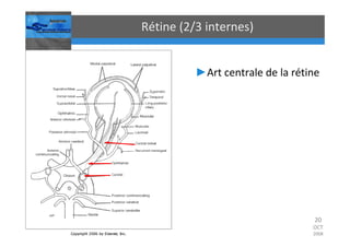 Occlusions vasculaires retiniennes
