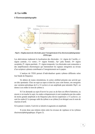 A/ La veille
I/ Électroencéphalographie




Fig(1) : Emplacement des électrodes pour l’enregistrement d’un électroencéphalogramme
                                      (EEG) type.

Les abréviations traduisent la localisation des électrodes : A= région de l’oreille, c=
région centrale ; Cz vertex ; F= région frontale ; Fp= pole frontal ; O= région
occipitale, P= région pariétale ; T= région temporale. Les électrodes sont connectées a
des amplificateurs électroniques qui transmettent les signaux enregistres au niveau
d’un scripteur a plumes contribuant a l’enregistrement sur le papier.

       L’analyse de l’EEG permet d’individualiser quatre rythmes différents selon
leur bande de fréquence.

        En dehors de toutes stimulations, le cortex cérébral présente une activité qui
est dite spontanée. Chez un sujet au repos et dont les yeux sont fermes, om enregistre
une variation périodique de 8 a 12 cycles/s et son amplitude peut atteindre 50µV. on
donne à ces ondes le nom de rythme α.

        Si l’on demande au sujet d’ouvrir les yeux ou de faire un effort d’attention, ou
encore si on touche le sujet, les ondes α disparaissent et sont remplacées par des ondes
de moins grande amplitude et de fréquence plus élevée (supérieure a 13 cycles/s) ; ce
sont les ondes β. Le passage subit du rythme α au rythme β est désigné sous le nom de
réaction d’arrêt.

Si le patient s’endort, l’activité se ralentit et augmente en amplitude.

        Il existe donc une relation claire entre les niveaux de vigilance et les rythmes
électroencéphalographique. (Figure 2).




                                                                                           15
 