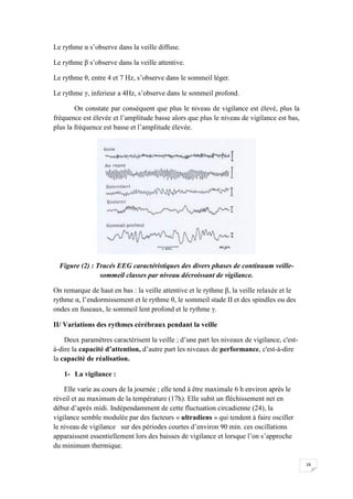 Le rythme α s’observe dans la veille diffuse.

Le rythme β s’observe dans la veille attentive.

Le rythme θ, entre 4 et 7 Hz, s’observe dans le sommeil léger.

Le rythme γ, inferieur a 4Hz, s’observe dans le sommeil profond.

        On constate par conséquent que plus le niveau de vigilance est élevé, plus la
fréquence est élevée et l’amplitude basse alors que plus le niveau de vigilance est bas,
plus la fréquence est basse et l’amplitude élevée.




  Figure (2) : Tracés EEG caractéristiques des divers phases de continuum veille-
                sommeil classes par niveau décroissant de vigilance.

On remarque de haut en bas : la veille attentive et le rythme β, la veille relaxée et le
rythme α, l’endormissement et le rythme θ, le sommeil stade II et des spindles ou des
ondes en fuseaux, le sommeil lent profond et le rythme γ.

II/ Variations des rythmes cérébraux pendant la veille

    Deux paramètres caractérisent la veille ; d’une part les niveaux de vigilance, c'est-
à-dire la capacité d’attention, d’autre part les niveaux de performance, c'est-à-dire
la capacité de réalisation.

   1- La vigilance :

    Elle varie au cours de la journée ; elle tend à être maximale 6 h environ après le
réveil et au maximum de la température (17h). Elle subit un fléchissement net en
début d’après midi. Indépendamment de cette fluctuation circadienne (24), la
vigilance semble modulée par des facteurs « ultradiens » qui tendent à faire osciller
le niveau de vigilance sur des périodes courtes d’environ 90 min. ces oscillations
apparaissent essentiellement lors des baisses de vigilance et lorsque l’on s’approche
du minimum thermique.

                                                                                            16
 