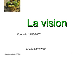 La vision Cours du 19/06/2007 Année 2007-2008 