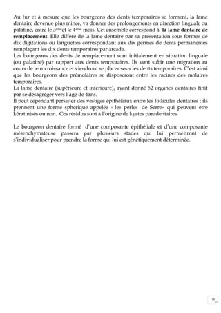 10
Au fur et à mesure que les bourgeons des dents temporaires se forment, la lame
dentaire devenue plus mince, va donner des prolongements en direction linguale ou
palatine, entre le 3èmeet le 4ème mois. Cet ensemble correspond à la lame dentaire de
remplacement. Elle diffère de la lame dentaire par sa présentation sous formes de
dix digitations ou languettes correspondant aux dix germes de dents permanentes
remplaçant les dix dents temporaires par arcade.
Les bourgeons des dents de remplacement sont initialement en situation linguale
(ou palatine) par rapport aux dents temporaires. Ils vont subir une migration au
cours de leur croissance et viendront se placer sous les dents temporaires. C’est ainsi
que les bourgeons des prémolaires se disposeront entre les racines des molaires
temporaires.
La lame dentaire (supérieure et inférieure), ayant donné 52 organes dentaires finit
par se désagréger vers l’âge de 4ans.
Il peut cependant persister des vestiges épithéliaux entre les follicules dentaires ; ils
prennent une forme sphérique appelée « les perles de Serre» qui peuvent être
kératinisés ou non. Ces résidus sont à l’origine de kystes paradentaires.
Le bourgeon dentaire formé d’une composante épithéliale et d’une composante
mésenchymateuse passera par plusieurs stades qui lui permettront de
s’individualiser pour prendre la forme qui lui est génétiquement déterminée.
 
