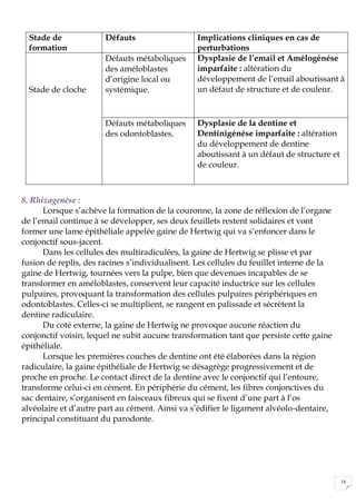 18
Stade de
formation
Défauts Implications cliniques en cas de
perturbations
Stade de cloche
Défauts métaboliques
des améloblastes
d’origine local ou
systémique.
Dysplasie de l’email et Amélogénése
imparfaite : altération du
développement de l’email aboutissant à
un défaut de structure et de couleur.
Défauts métaboliques
des odontoblastes.
Dysplasie de la dentine et
Dentinigénése imparfaite : altération
du développement de dentine
aboutissant à un défaut de structure et
de couleur.
8. Rhizagenèse :
Lorsque s’achève la formation de la couronne, la zone de réflexion de l’organe
de l’email continue à se développer, ses deux feuillets restent solidaires et vont
former une lame épithéliale appelée gaine de Hertwig qui va s’enfoncer dans le
conjonctif sous-jacent.
Dans les cellules des multiradiculées, la gaine de Hertwig se plisse et par
fusion de replis, des racines s’individualisent. Les cellules du feuillet interne de la
gaine de Hertwig, tournées vers la pulpe, bien que devenues incapables de se
transformer en améloblastes, conservent leur capacité inductrice sur les cellules
pulpaires, provoquant la transformation des cellules pulpaires périphériques en
odontoblastes. Celles-ci se multiplient, se rangent en palissade et sécrètent la
dentine radiculaire.
Du coté externe, la gaine de Hertwig ne provoque aucune réaction du
conjonctif voisin, lequel ne subit aucune transformation tant que persiste cette gaine
épithéliale.
Lorsque les premières couches de dentine ont été élaborées dans la région
radiculaire, la gaine épithéliale de Hertwig se désagrège progressivement et de
proche en proche. Le contact direct de la dentine avec le conjonctif qui l’entoure,
transforme celui-ci en cément. En périphérie du cément, les fibres conjonctives du
sac dentaire, s’organisent en faisceaux fibreux qui se fixent d’une part à l’os
alvéolaire et d’autre part au cément. Ainsi va s’édifier le ligament alvéolo-dentaire,
principal constituant du parodonte.
 