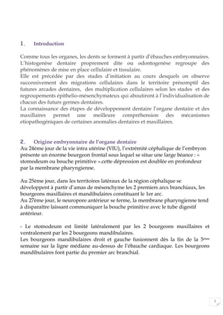 2
1. Introduction
Comme tous les organes, les dents se forment à partir d’ébauches embryonnaires.
L’histogenèse dentaire proprement dite ou odontogenèse regroupe des
phénomènes de mise en place cellulaire et tissulaire.
Elle est précédée par des stades d’initiation au cours desquels on observe
successivement des migrations cellulaires dans le territoire présomptif des
futures arcades dentaires, des multiplication cellulaires selon les stades et des
regroupements épithelio-mésenchymateux qui aboutiront à l’individualisation de
chacun des futurs germes dentaires.
La connaissance des étapes de développement dentaire l’organe dentaire et des
maxillaires permet une meilleure compréhension des mécanismes
etiopathogéniques de certaines anomalies dentaires et maxillaires.
2. Origine embryonnaire de l’organe dentaire
Au 24ème jour de la vie intra utérine (VIU), l’extrémité céphalique de l’embryon
présente un énorme bourgeon frontal sous lequel se situe une large béance : «
stomodeum ou bouche primitive ».cette dépression est doublée en profondeur
par la membrane pharyngienne.
Au 25ème jour, dans les territoires latéraux de la région céphalique se
développent à partir d’amas de mésenchyme les 2 premiers arcs branchiaux, les
bourgeons maxillaires et mandibulaires constituant le 1er arc.
Au 27ème jour, le neuropore antérieur se ferme, la membrane pharyngienne tend
à disparaître laissant communiquer la bouche primitive avec le tube digestif
antérieur.
- Le stomodeum est limité latéralement par les 2 bourgeons maxillaires et
ventralement par les 2 bourgeons mandibulaires.
Les bourgeons mandibulaires droit et gauche fusionnent dès la fin de la 5ème
semaine sur la ligne médiane au-dessus de l’ébauche cardiaque. Les bourgeons
mandibulaires font partie du premier arc branchial.
 