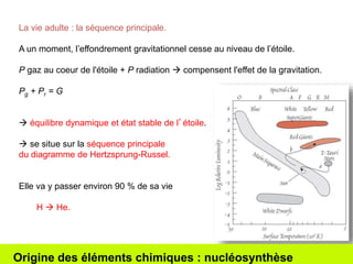 La vie adulte : la séquence principale. 
A un moment, l’effondrement gravitationnel cesse au niveau de l’étoile. 
P gaz au coeur de l'étoile + P radiation  compensent l'effet de la gravitation. 
Pg + Pr = G 
 équilibre dynamique et état stable de l’étoile. 
 se situe sur la séquence principale 
du diagramme de Hertzsprung-Russel. 
Elle va y passer environ 90 % de sa vie 
H  He. 
Origine des éléments chimiques : nucléosynthèse 
 