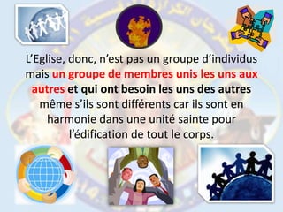 L’Eglise, donc, n’est pas un groupe d’individus mais un groupe de membres unis les uns aux autreset qui ont besoin les uns des autres même s’ils sont différents car ils sont en harmonie dans une unité sainte pour l’édification de tout le corps.