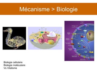 Mécanisme > Biologie Biologie cellulaire Biologie moléculaire Vs Vitalisme 