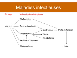 Maladies infectieuses Choc septique Fièvre Mort Métabolisme Étiologie Voies physiopathologiques Infection Malformation Destruction directe Destruction Inflammation Réaction immunitaire Perte de fonction 
