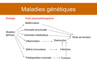 Maladies génétiques Mutation génique Malformation Anomalie métabolique Destruction Inflammation Déficit immunitaire Perte de fonction Prédisposition tumorale Tumeurs Infections Anomalie structurelle Étiologie Voies physiopathologiques 