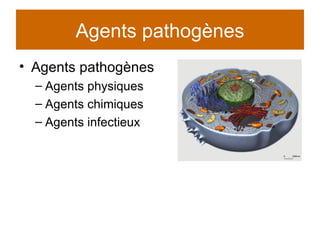 Agents pathogènes Agents pathogènes Agents physiques Agents chimiques Agents infectieux 