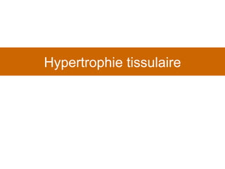 Hypertrophie tissulaire 