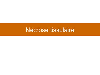 Nécrose tissulaire 