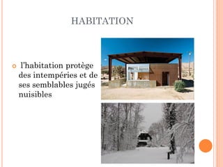 HABITATION
 l’habitation protège
des intempéries et de
ses semblables jugés
nuisibles
 
