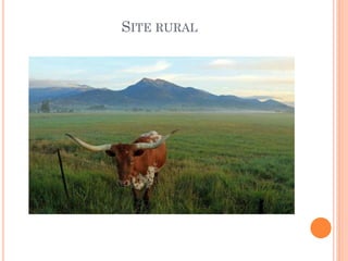 SITE RURAL
 