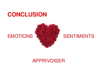 CONCLUSION
EMOTIONS SENTIMENTS
APPRIVOISER
 