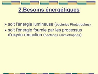 Cours 1 physiologie microbienne
