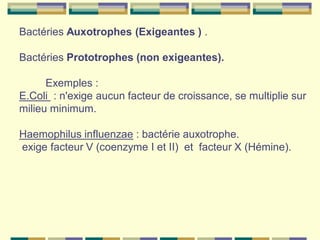 Cours 1 physiologie microbienne