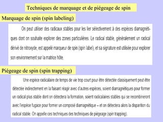 Techniques de marquage et de piégeage de spin Marquage de spin (spin labeling) Piégeage de spin (spin trapping) 