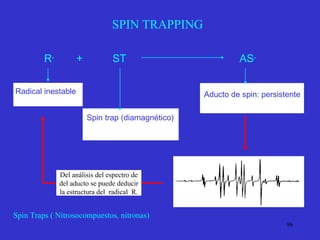 SPIN TRAPPING Spin Traps ( Nitrosocompuestos, nitronas) Del análisis del espectro de del aducto se puede deducir la estructura del  radical  R. R .   +  ST  AS . Radical inestable Spin trap (diamagnético) Aducto de spin: persistente  