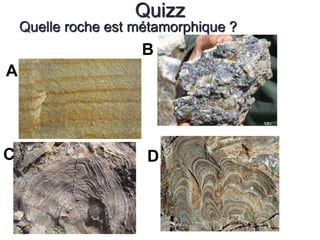 Quizz 
Quelle roche est métamorphique ? 
A 
B 
C D 
 