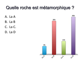 Quelle roche est métamorphique ? 
A. La A 
B. La B 
C. La C. 
D. La D 
 