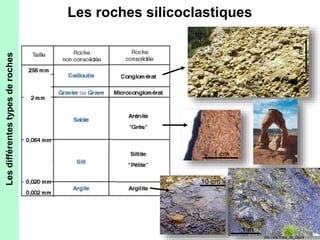 Les roches silicoclastiques 
1 m 
1 cm 
10 cm 
1 m 
site.voila.fr/tpe_de_capra 
Les différentes types de roches 
 