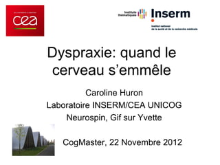 Dyspraxie: quand le
cerveau s’emmêle
          Caroline Huron
Laboratoire INSERM/CEA UNICOG
    Neurospin, Gif sur Yvette

   CogMaster, 22 Novembre 2012
 
