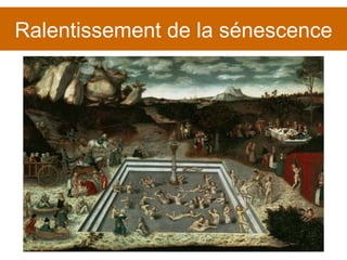 Ralentissement de la sénescence 