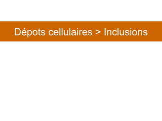 Dépots cellulaires > Inclusions 