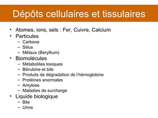 Atomes, ions, sels : Fer, Cuivre, Calcium Particules Carbone Silice Métaux (Beryllium) Biomolécules Métabolites toxiques Bilirubine et bile Produits de dégradation de l’hèmoglobine Protéines anormales Amylose Maladies de surcharge Liquide biologique Bile Urine Dépôts cellulaires et tissulaires 