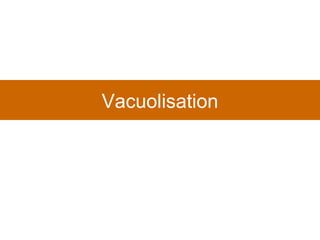 Vacuolisation 