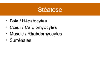 Foie / Hépatocytes Cœur / Cardiomyocytes Muscle / Rhabdomyocytes Surrénales Stéatose 