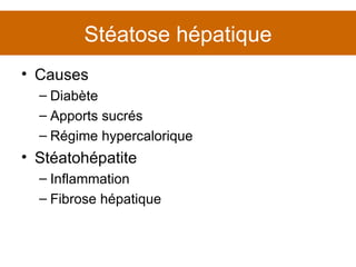 Causes Diabète Apports sucrés Régime hypercalorique Stéatohépatite Inflammation Fibrose hépatique Stéatose hépatique 