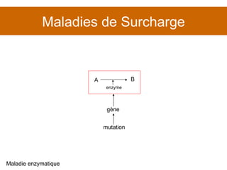 Maladies de Surcharge Maladie enzymatique gène mutation A B enzyme 