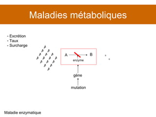 Maladies métaboliques Maladie enzymatique gène mutation B B Excrétion Taux  - Surcharge A B enzyme A A A A A A A A A A A A A A A A 