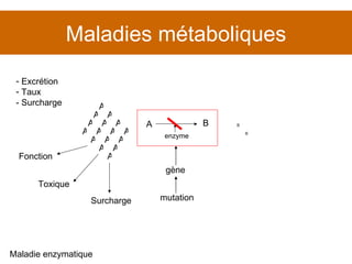 Maladies métaboliques Maladie enzymatique gène mutation B B Excrétion Taux  - Surcharge Toxique Surcharge Fonction A B enzyme A A A A A A A A A A A A A A A A 