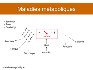 Maladies métaboliques Maladie enzymatique gène mutation B B Excrétion Taux  - Surcharge Toxique Surcharge Fonction Fonction Carence A B enzyme A A A A A A A A A A A A A A A A 