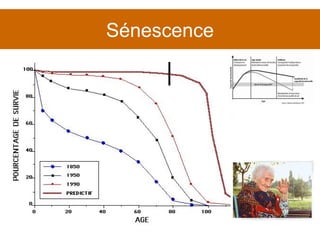 Sénescence 