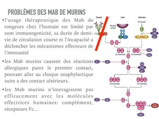 PROBLÈMES DES MAB DE MURINS
•l’usage thérapeutique des Mab de
rongeurs chez l’humain est limité par
sont immunogenicité, sa durée de demi-
vie de circulation courte et l’incapacité a
déclencher les mécanismes effecteurs de
l’immunité
•les Mab murins causent des réactions
allergiques pares le premier contact,
pouvant aller au choque anaphylactique
suite a des contact ultérieurs.
•les Mab murins n’interagissent pas
efficacement avec les molécules
effectrices humaines: complément,
récepteurs Fc…
 