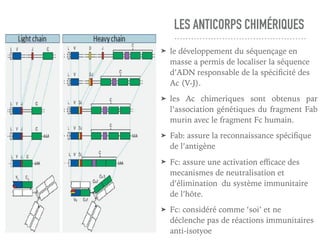 LES ANTICORPS CHIMÉRIQUES
➤ le développement du séquençage en
masse a permis de localiser la séquence
d’ADN responsable de la spéciﬁcité des
Ac (V-J).
➤ les Ac chimeriques sont obtenus par
l’association génétiques du fragment Fab
murin avec le fragment Fc humain.
➤ Fab: assure la reconnaissance spéciﬁque
de l’antigène
➤ Fc: assure une activation eﬃcace des
mecanismes de neutralisation et
d’élimination du système immunitaire
de l’hôte.
➤ Fc: considéré comme ‘soi’ et ne
déclenche pas de réactions immunitaires
anti-isotyoe
 