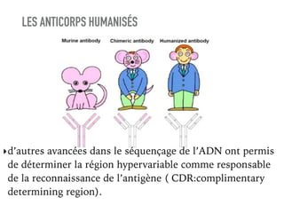 LES ANTICORPS HUMANISÉS
‣d’autres avancées dans le séquençage de l’ADN ont permis
de déterminer la région hypervariable comme responsable
de la reconnaissance de l’antigène ( CDR:complimentary
determining region).
 