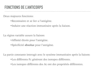 FONCTIONS DE L’ANTICORPS
Deux majeures fonctions:
•Reconnaitre et se lier a l’antigène.
•Induire une réaction immunitaire après la liaison.
La région variable assure la liaison:
•Affinité élevée pour l’antigène.
•Spécificité absolue pour l’antigène.
La partie constante interagit avec le système immunitaire après la liaison:
•Les différents Fc génèrent des isotopes différents.
•Les isotopes différents des Ac ont des propriétés différentes.
 
