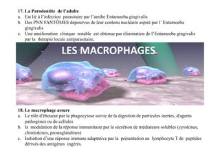 17. La Parodontite de l’adulte
a. Est lié à l’infection parasitaire par l’amibe Entamoeba gingivalis
b. Des PNN FANTÔMES dépourvus de leur contenu nucléaire aspiré par l’ Entamoeba
gingivalis
c. Une amélioration clinique notable est obtenue par élimination de l’Entamoeba gingivalis
par la thérapie locale antiparasitaire,
LES MACROPHAGES
18. Le macrophage assure
a. Le rôle d'éboueur par la phagocytose suivie de la digestion de particules inertes, d'agents
pathogènes ou de cellules
b. la modulation de la réponse immunitaire par la sécrétion de médiateurs solubles (cytokines,
chimiokines, prostaglandines)
c. Initiation d’une réponse immune adaptative par la présentation au lymphocyte T de peptides
dérivés des antigènes ingérés.
 