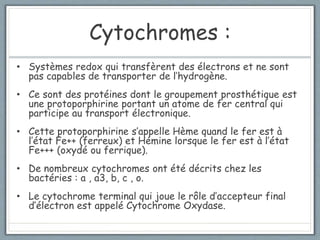 Cours 3 physiologie microbienne 