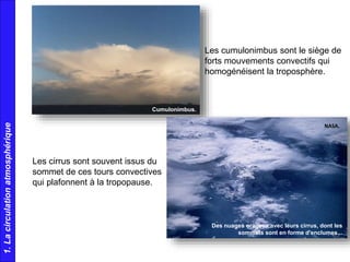 Les cirrus sont souvent issus du
sommet de ces tours convectives
qui plafonnent à la tropopause.
Cumulonimbus.
Des nuages orageux avec leurs cirrus, dont les
sommets sont en forme d'enclumes...
NASA.
Les cumulonimbus sont le siège de
forts mouvements convectifs qui
homogénéisent la troposphère.
1.Lacirculationatmosphérique
 