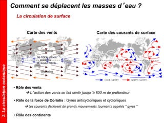 La circulation de surface
Comment se déplacent les masses d’eau ?
• Rôle des vents
• Rôle de la force de Coriolis : Gyres anticycloniques et cycloniques
Carte des vents Carte des courants de surface
 L’action des vents se fait sentir jusqu’à 800 m de profondeur
 Les courants décrivent de grands mouvements tournants appelés " gyres "
• Rôle des continents
2.Lacirculationocéanique
 