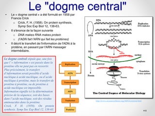 Le "dogme central"• Le « dogme central » a été formulé en 1958 par
Francis Crick
o Crick, F. H. (1958). On protein synthes...