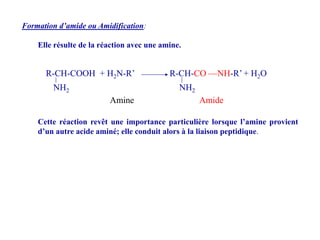 Amidification Cours acides amines_lakhiari | PDF