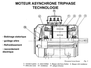 16
MOTEUR ASYNCHRONE TRIPHASE
TECHNOLOGIE
- Bobinage statorique
- guidage arbre
- Refroidissement
- raccordement
électrique
 